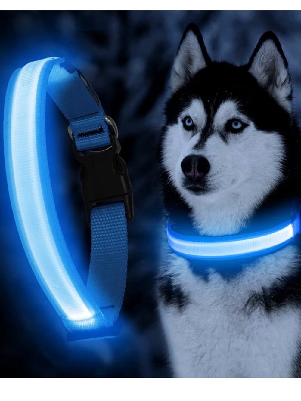 Led Dog Collar, Dog Light Up Collar,For Night Walking (Blue, Medium)
Adjustable,